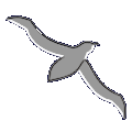 Albatroz Engineering